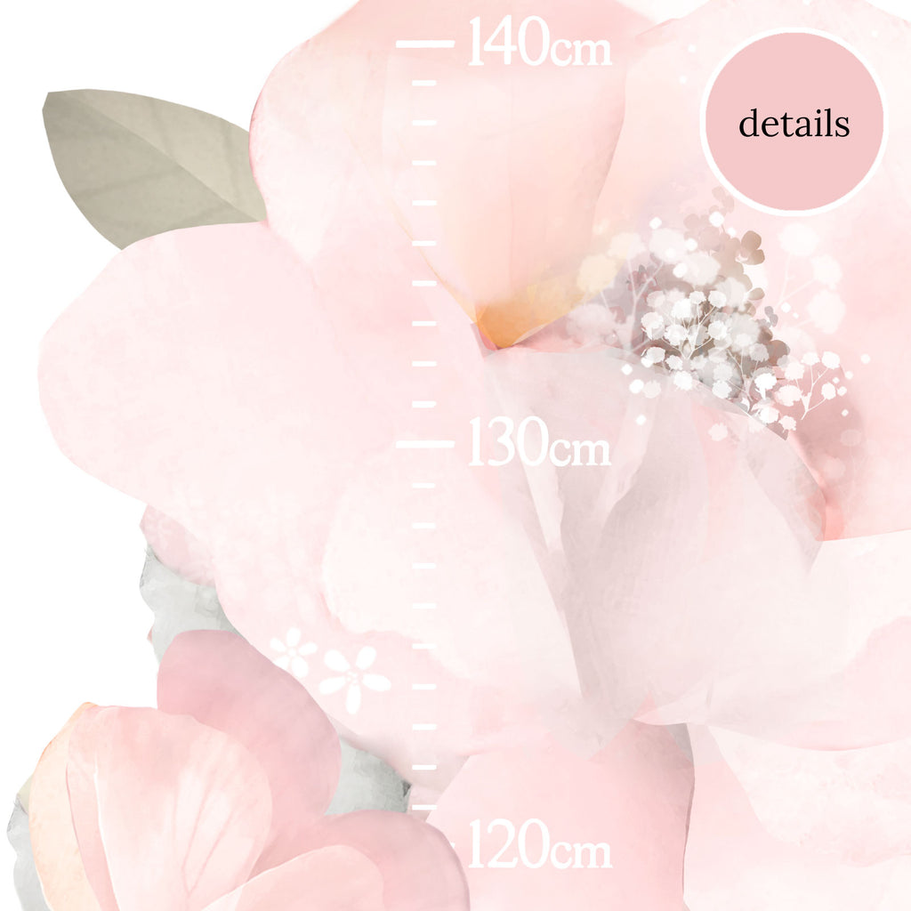Bows & Roses Height Chart - Schmooks 